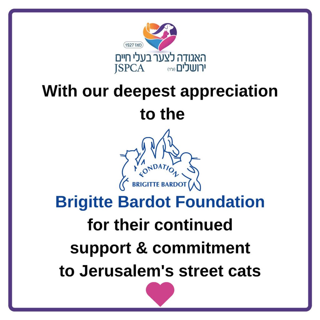 תעודה briggite_Bardot_foundation